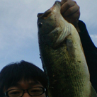 SAY