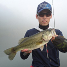 魚鷹