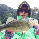 魚鷹