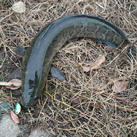 ジン