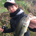かつむ