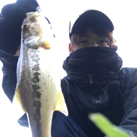 かつむ