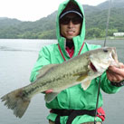 魚鷹