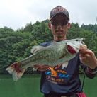 魚鷹