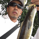 Bass 777