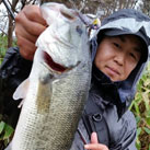 ヤマトjr.