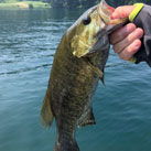 snow basser