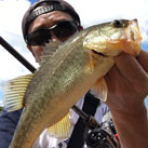 Bass777