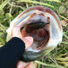 44Fishing