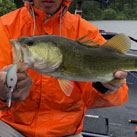 Bass777