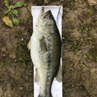 44Fishing