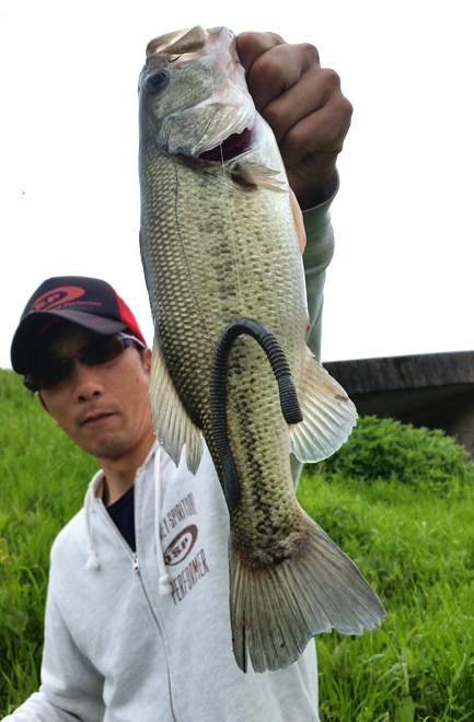 20150404_111142_edited-2