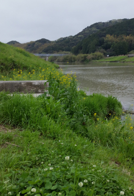 20150404_111154_edited-1