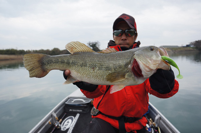 DoliveShad4.5 53cm_edited-2