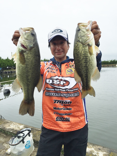 bass