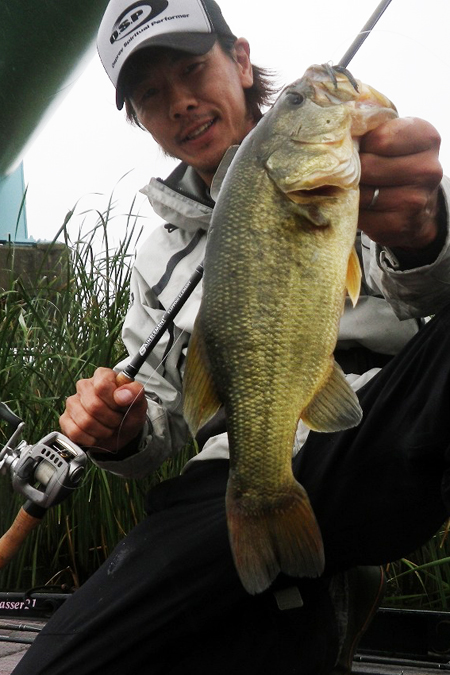 bass2