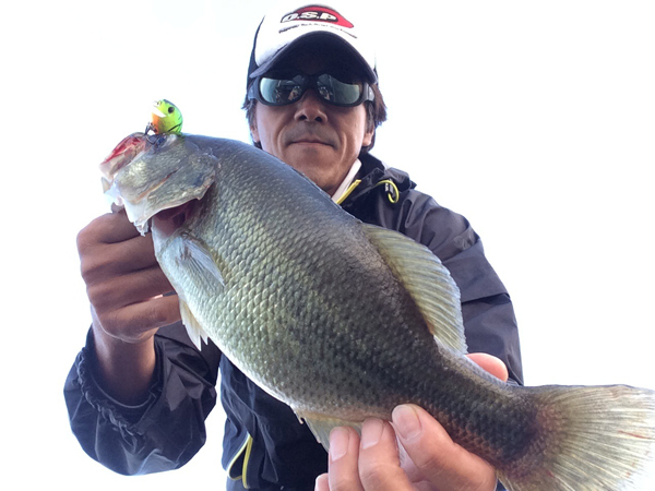 bass5