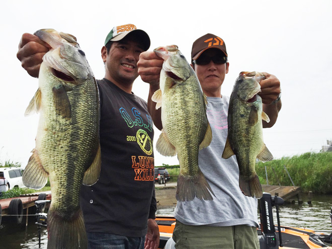 bass