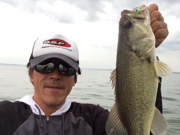 bass8