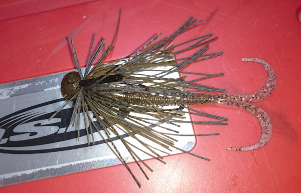 jig03_curly