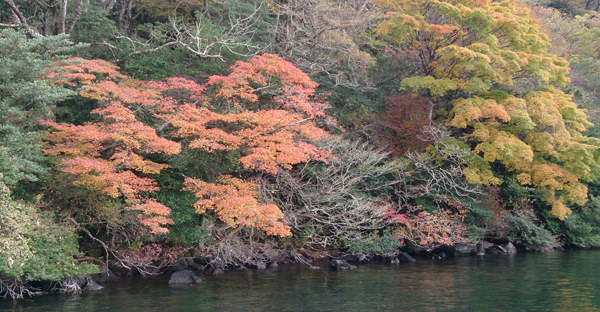 keshiki