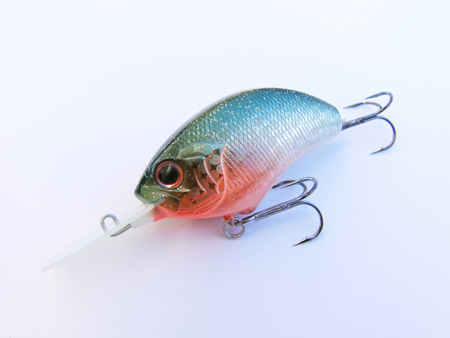 lure