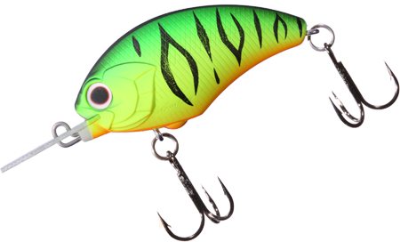 lure