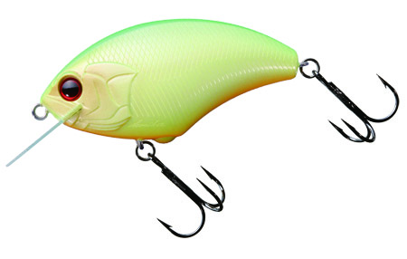 lure