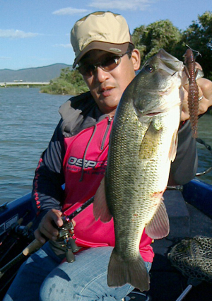 sakamot2