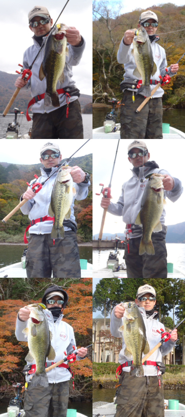 takahara_DR