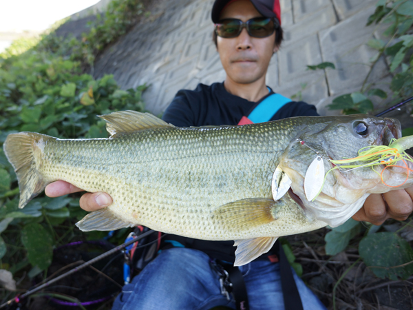 urakawa_HP1