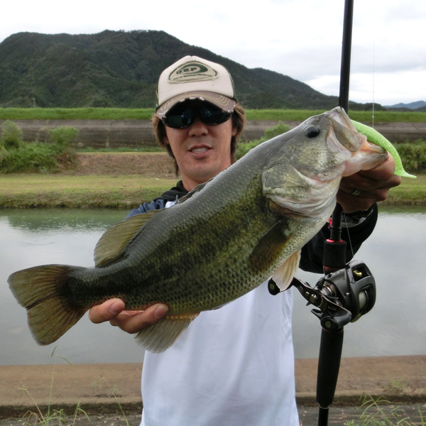 k.kirizume