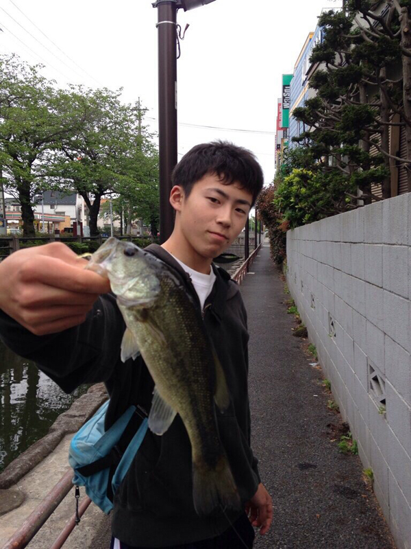 しゅんすけ