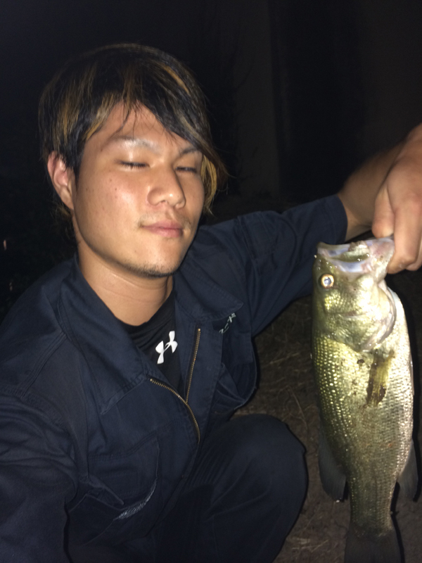 直樹