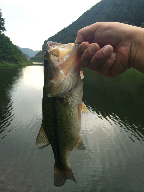 アマノッチ