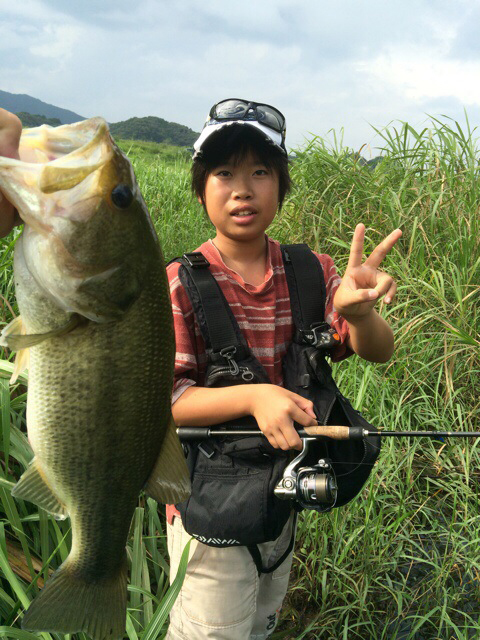 純と想