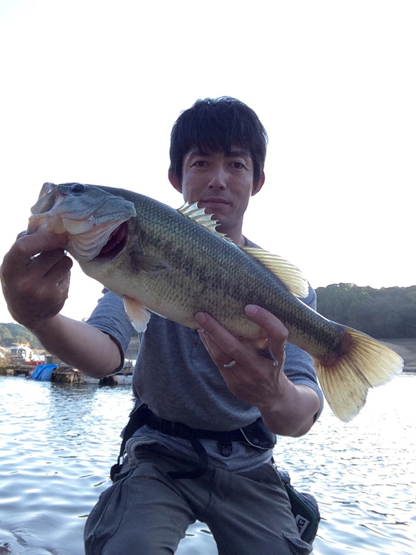 青木