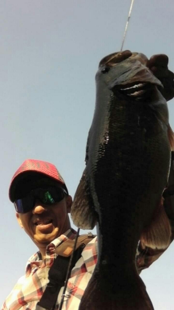 おやじ