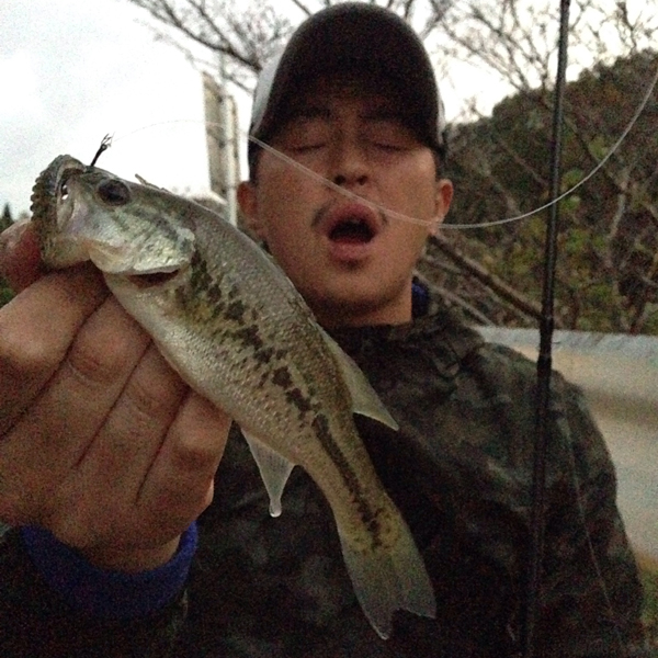 Tatsuyoung