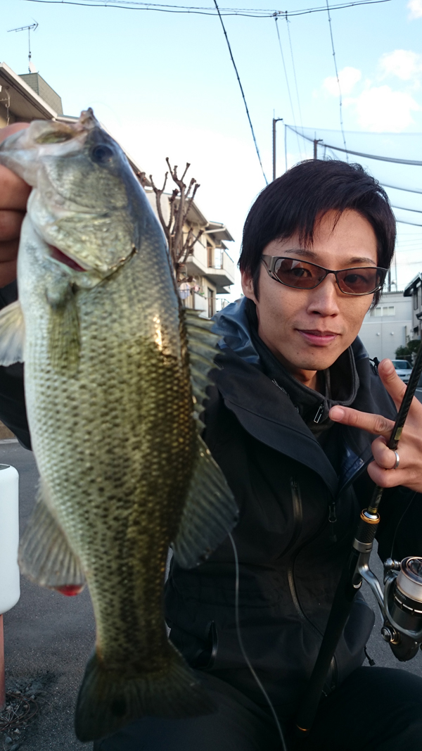 Toyama