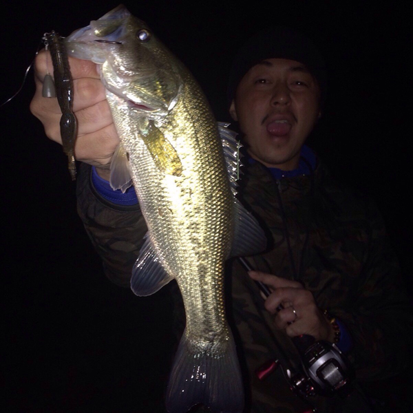Tatsuyoung