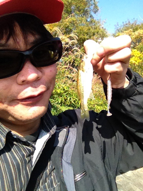 闇ぽん酢