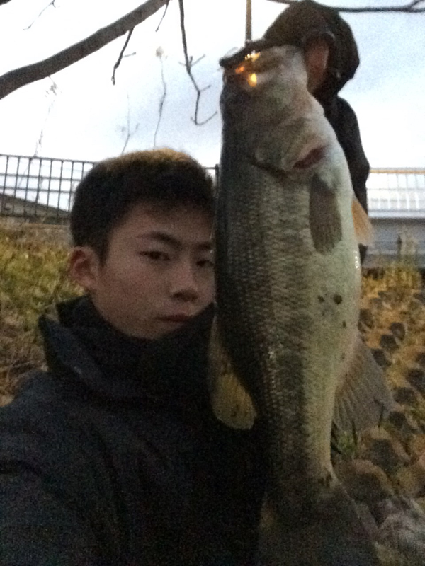 ムッシュ