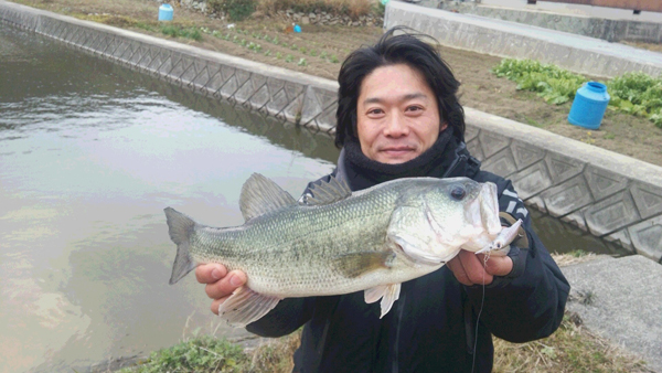 さかもっちゃん（徳島)