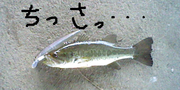 yaxtupe