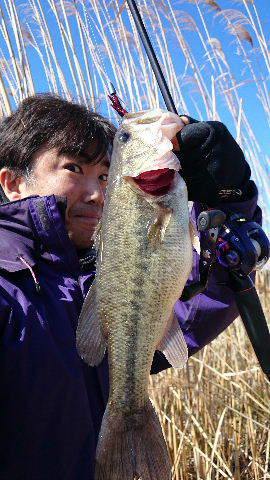 takataka-p