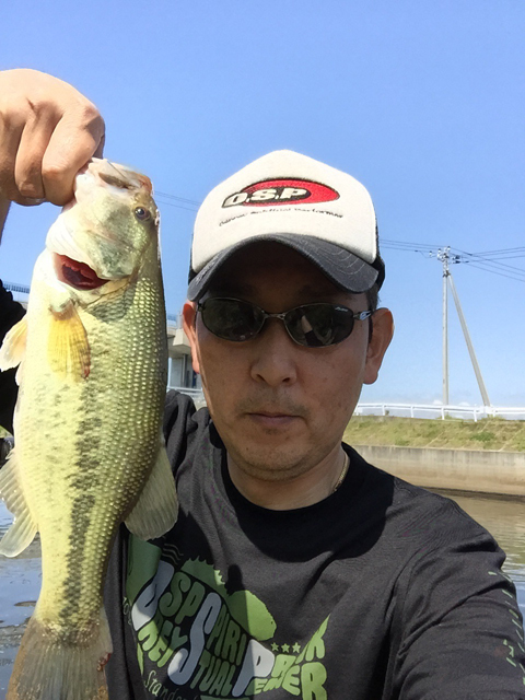 すぅさん