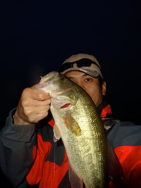 三度の飯＜釣り