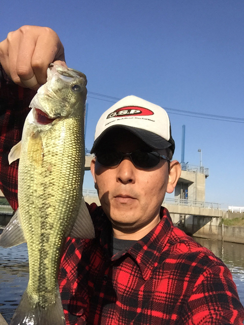 すぅさん