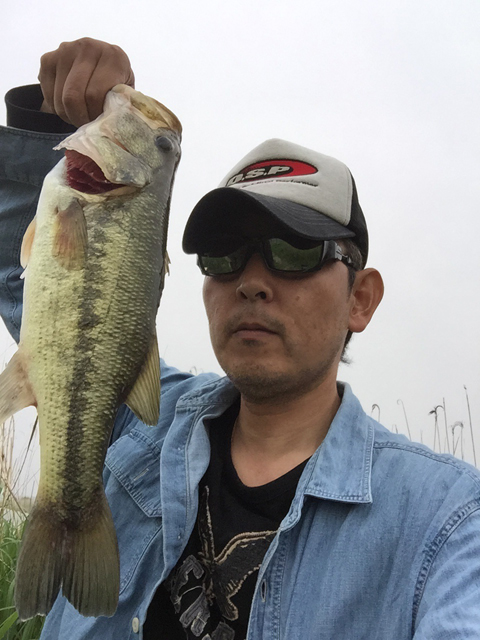 すぅさん